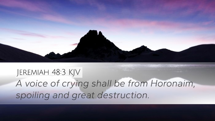 Jeremiah 48:3 KJV Bible Verse Image
