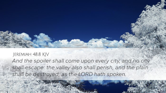 Jeremiah 48:8 KJV Bible Verse Image