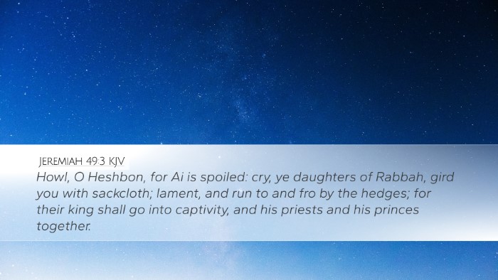 Jeremiah 49:3 KJV Desktop Wallpaper - Howl, O Heshbon, for Ai is spoiled: cry, ye - Desktop Bible Verse Wallpaper