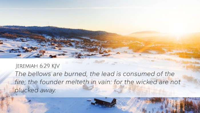 Jeremiah 6:29 KJV Bible Verse Image