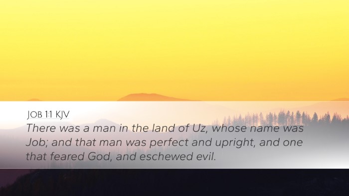 Job 1:1 KJV Bible Verse Image