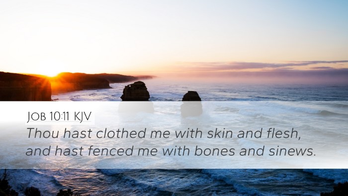 Job 10:11 KJV Desktop Wallpaper - Thou hast clothed me with skin and flesh, and - Desktop Bible Verse Wallpaper