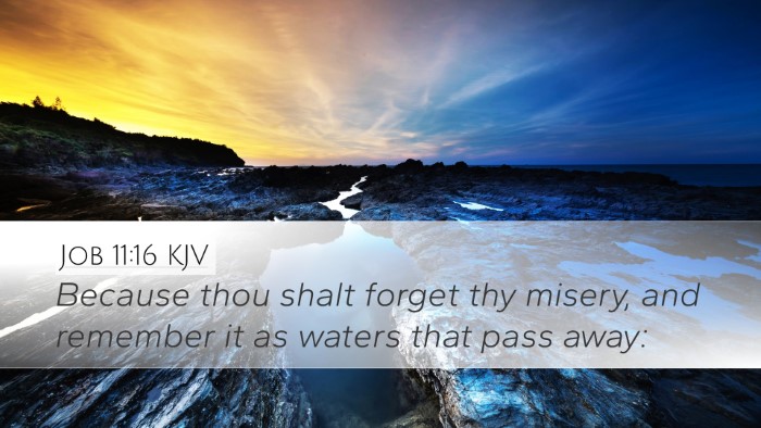 Job 11:16 KJV Desktop Wallpaper - Because thou shalt forget thy misery, and - Desktop Bible Verse Wallpaper