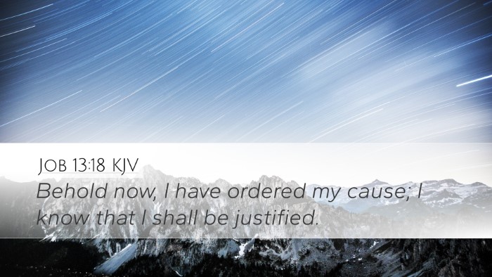 Job 13:18 KJV Bible Verse Image