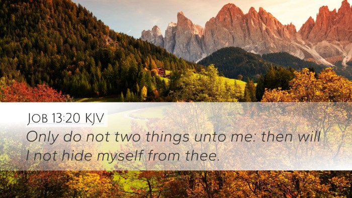 Job 13:20 KJV Bible Verse Image