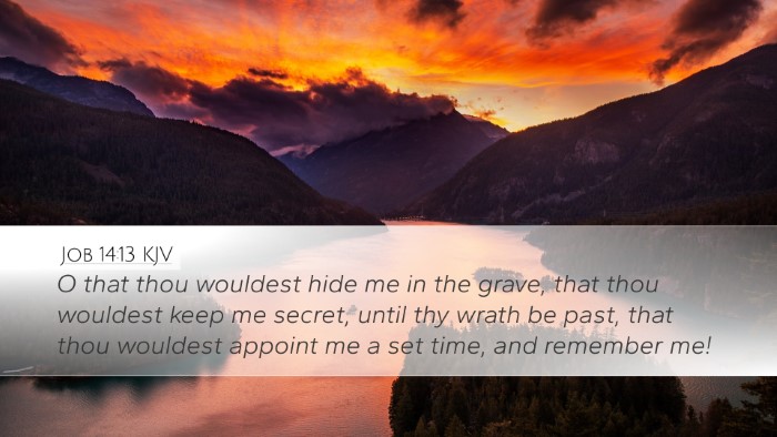 Job 14:13 KJV Bible Verse Image