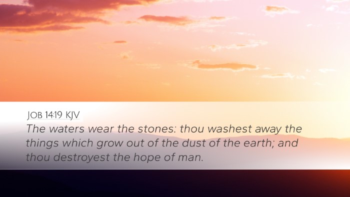 Job 14:19 KJV Bible Verse Image