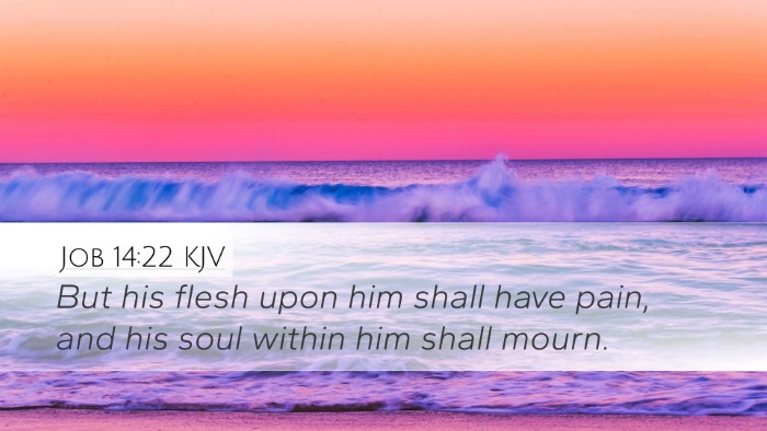Job 14:22 KJV Bible Verse Image