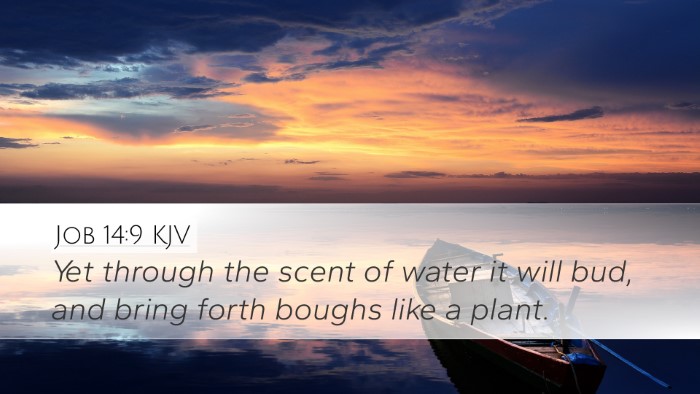 Job 14:9 KJV Desktop Wallpaper - Yet through the scent of water it will bud, and - Desktop Bible Verse Wallpaper