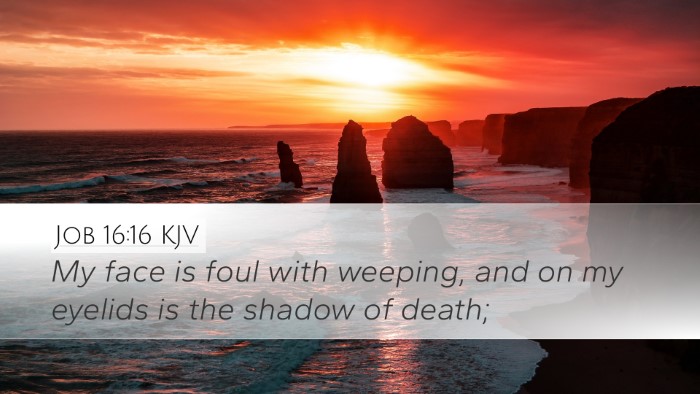 Job 16:16 KJV Bible Verse Image