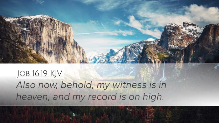 Job 16:19 KJV Bible Verse Image