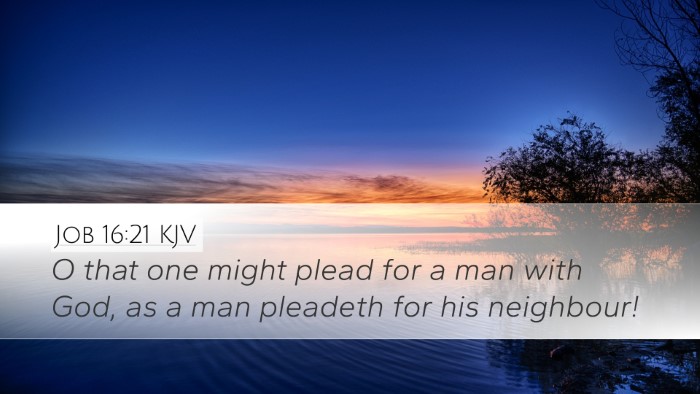 Job 16:21 KJV Bible Verse Image