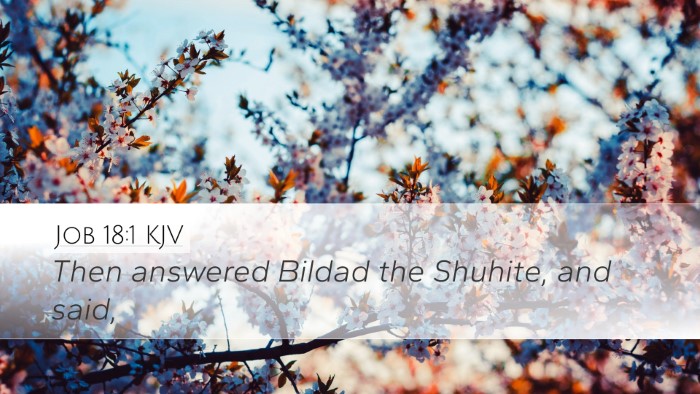 Job 18:1 KJV Desktop Wallpaper - Then answered Bildad the Shuhite, and - Desktop Bible Verse Wallpaper
