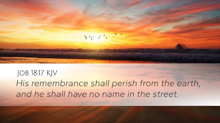 Job 18:17 KJV Bible Verse Image