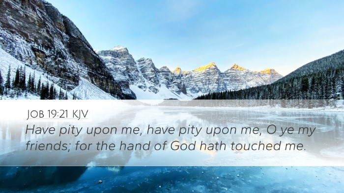 Job 19:21 KJV Bible Verse Image