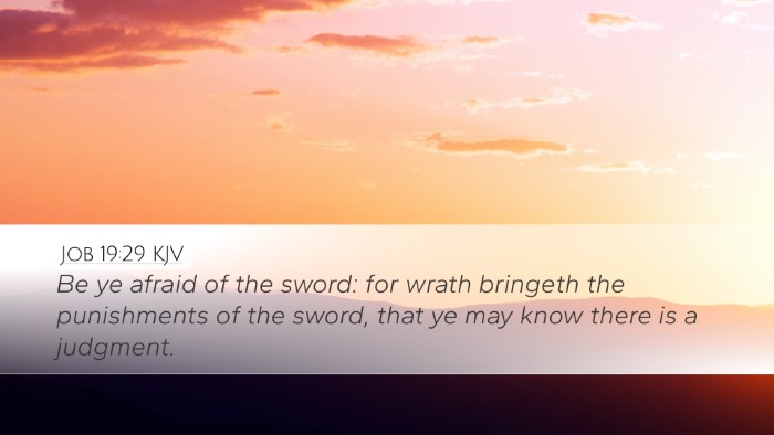 Job 19:29 KJV Bible Verse Image