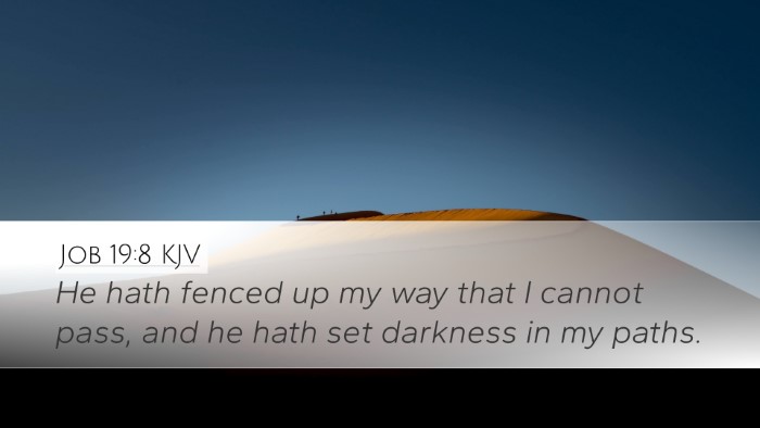 Job 19:8 KJV Bible Verse Image