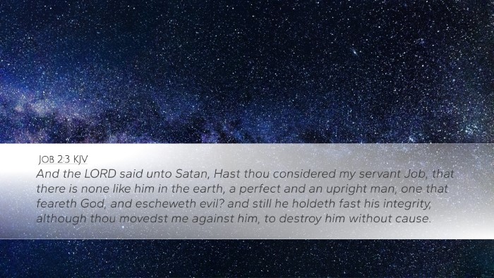 Job 2:3 KJV Bible Verse Image
