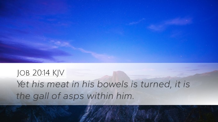 Job 20:14 KJV Bible Verse Image