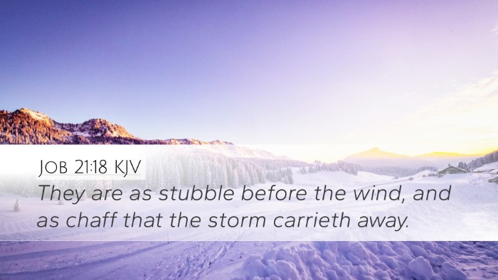 Job 21:18 KJV Bible Verse Image