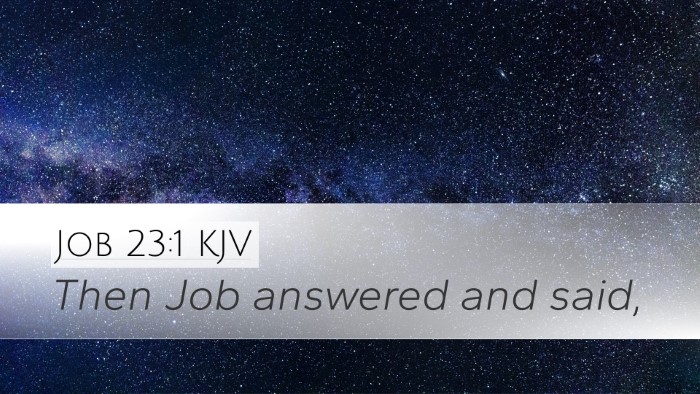Job 23:1 KJV Desktop Wallpaper - Then Job answered and - Desktop Bible Verse Wallpaper