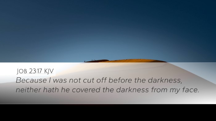 Job 23:17 KJV Bible Verse Image