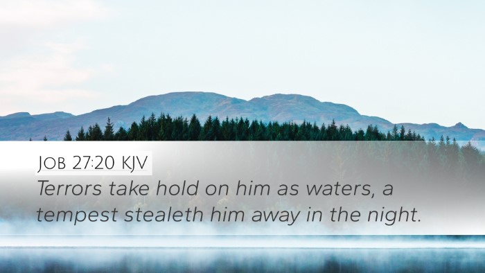 Job 27:20 KJV Bible Verse Image