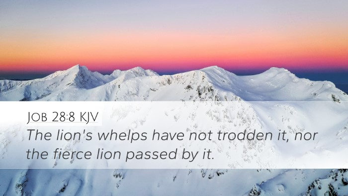 Job 28:8 KJV Desktop Wallpaper - The lion's whelps have not trodden it, nor the - Desktop Bible Verse Wallpaper