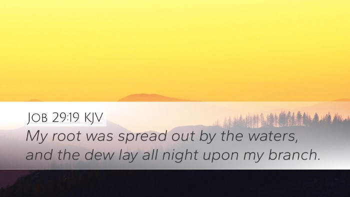 Job 29:19 KJV Bible Verse Image
