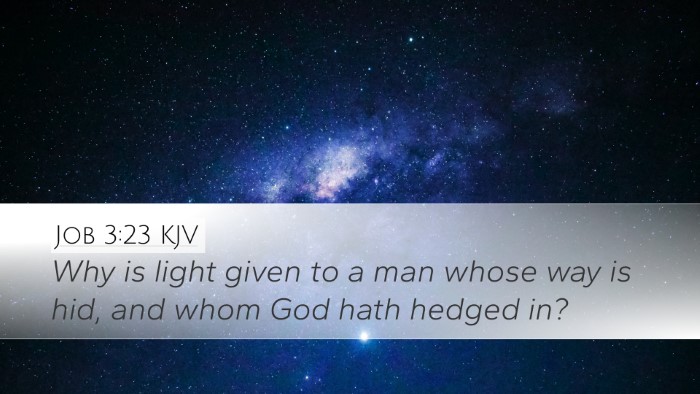 Job 3:23 KJV Bible Verse Image