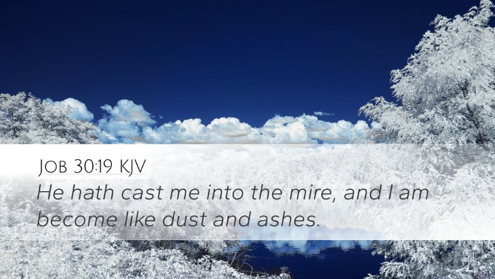 Job 30:19 KJV Bible Verse Image