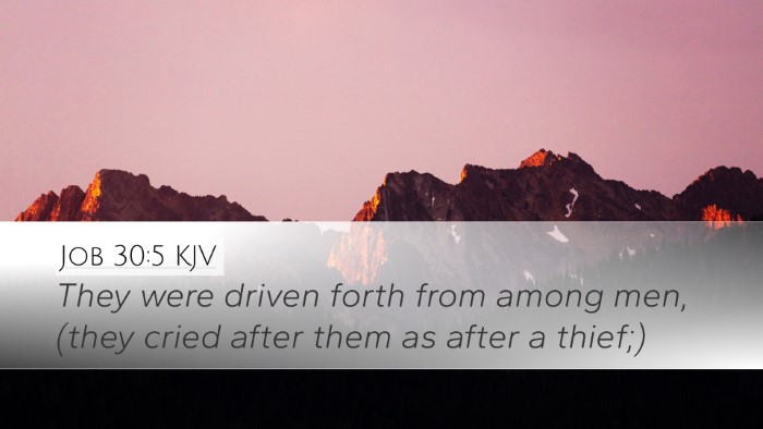 Job 30:5 KJV Bible Verse Image
