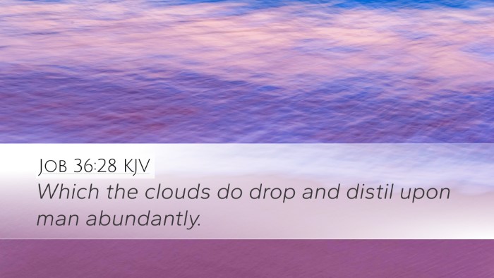 Job 36:28 KJV Bible Verse Image