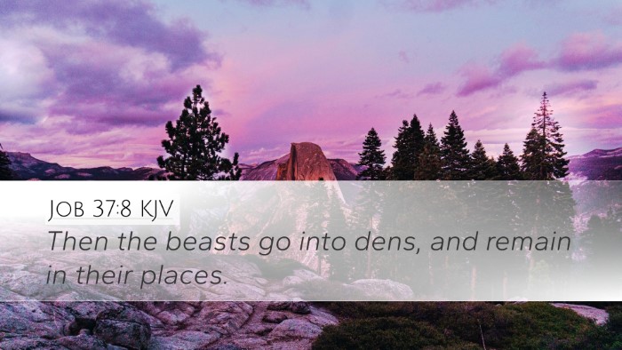 Job 37:8 KJV Bible Verse Image