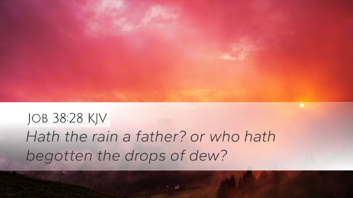 Job 38:28 KJV Bible Verse Image