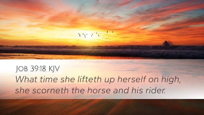 Job 39:18 KJV Bible Verse Image