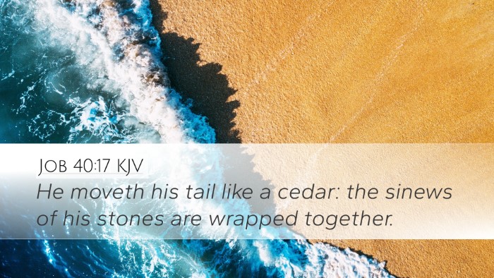 Job 40:17 KJV Bible Verse Image