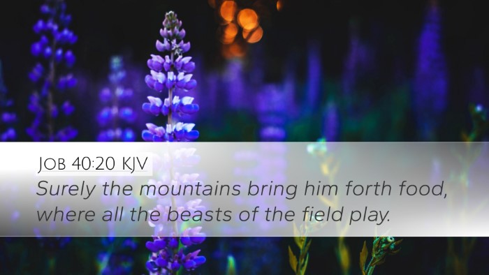 Job 40:20 KJV Bible Verse Image