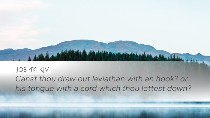 Job 41:1 KJV Bible Verse Image