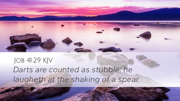 Job 41:29 KJV Bible Verse Image