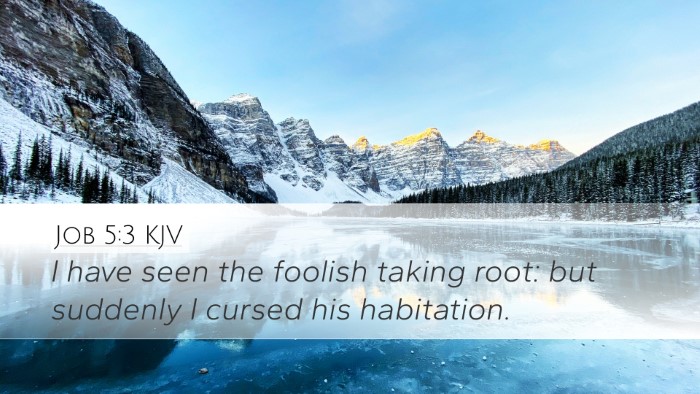 Job 5:3 KJV Bible Verse Image