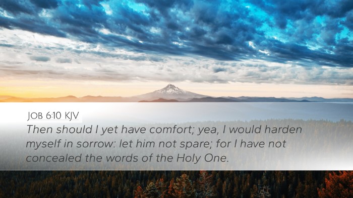 Job 6:10 KJV Bible Verse Image