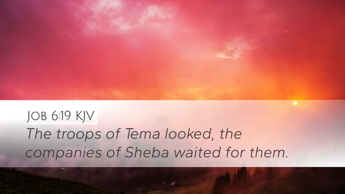 Job 6:19 KJV Bible Verse Image