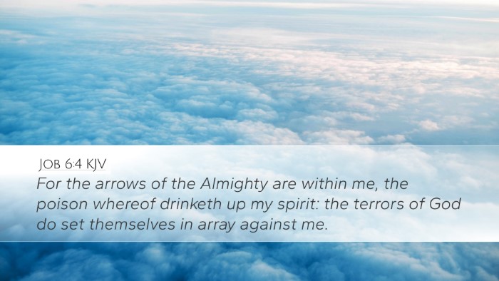 Job 6:4 KJV Bible Verse Image