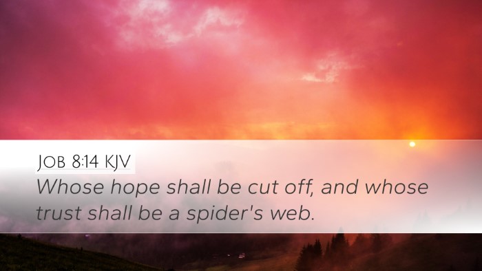 Job 8:14 KJV Bible Verse Image