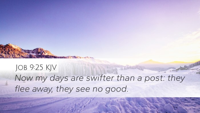 Job 9:25 KJV Bible Verse Image
