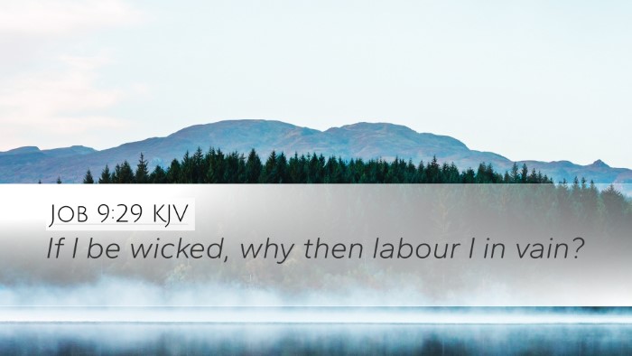 Job 9:29 KJV Bible Verse Image