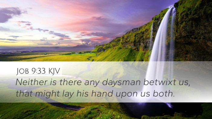 Job 9:33 KJV Bible Verse Image