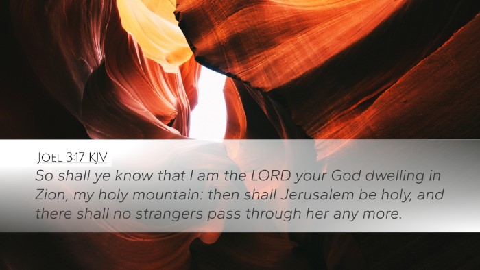 Joel 3:17 KJV Bible Verse Image