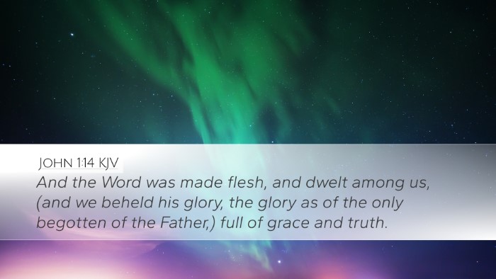 John 1:14 KJV Bible Verse Image